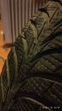 175 70 R13 GoodYear Goodyear UltraGrip б/у